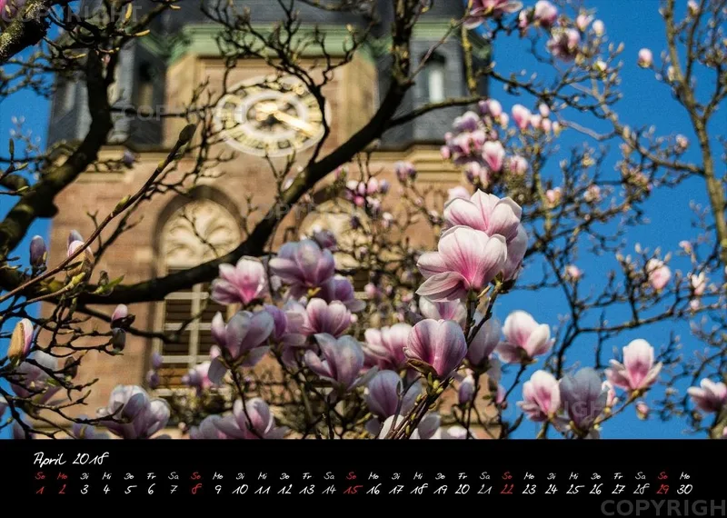 (8) Bildkalender A4 quer - Reilingen 2018