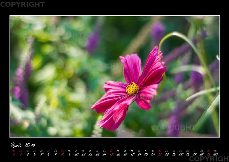 (33) Bildkalender A3 quer - Glücksmomente 2018