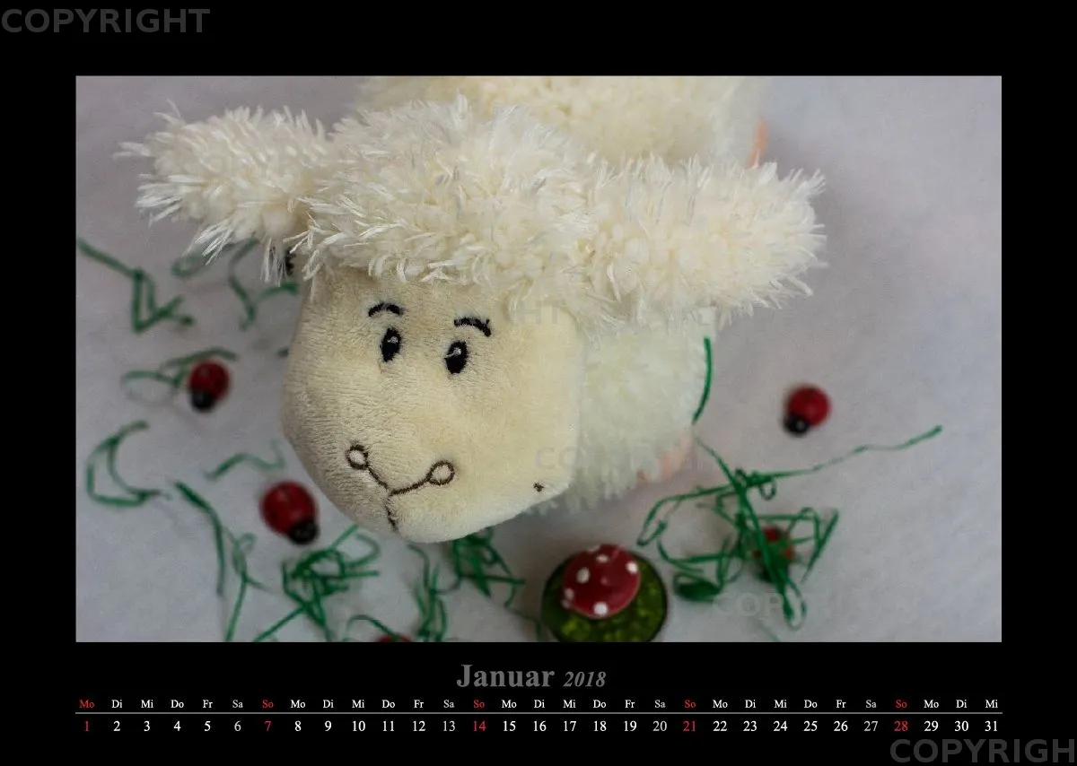 (14) Bildkalender A3 quer - Schafe Momente 2018