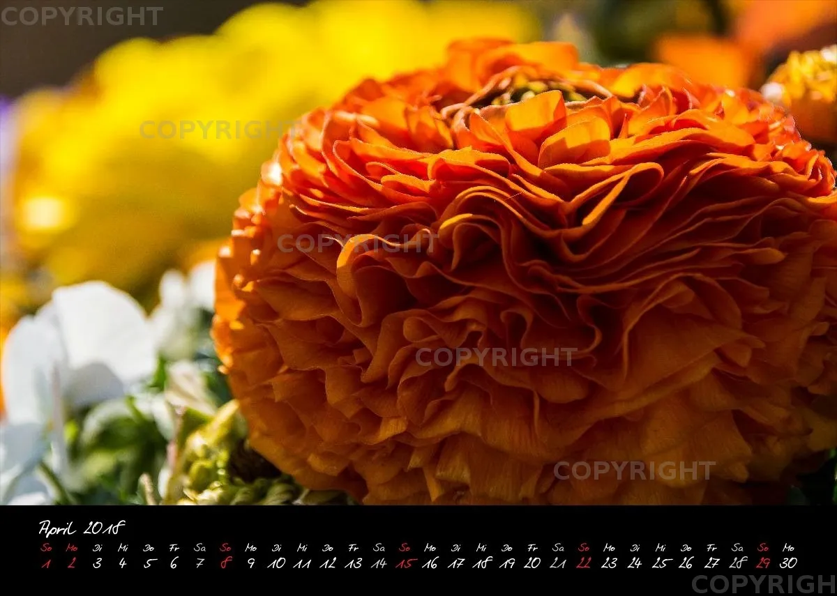 (7) Bildkalender A4 quer - Momente 2018