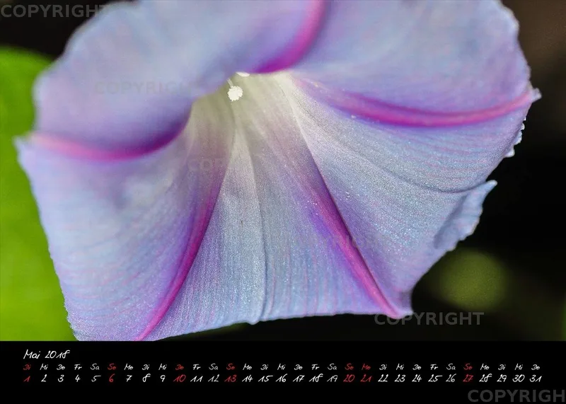 (3) Tischkalender A5 quer - Momente 2018