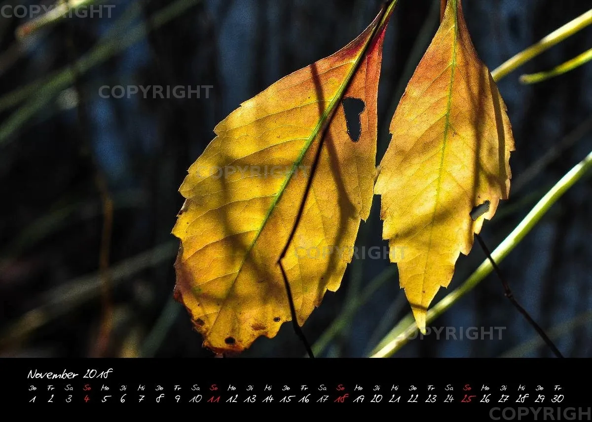 (7) Bildkalender A4 quer - Momente 2018