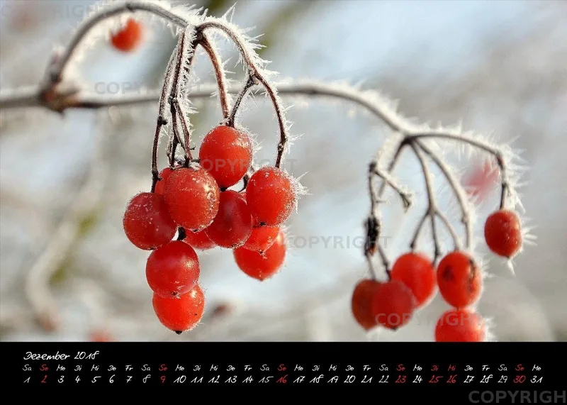 (3) Tischkalender A5 quer - Momente 2018