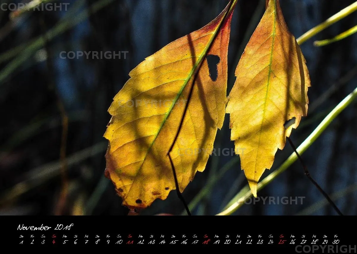 (4) Bildkalender A3 quer - Momente 2018