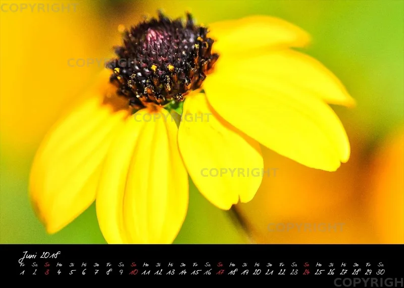 (7) Bildkalender A4 quer - Momente 2018