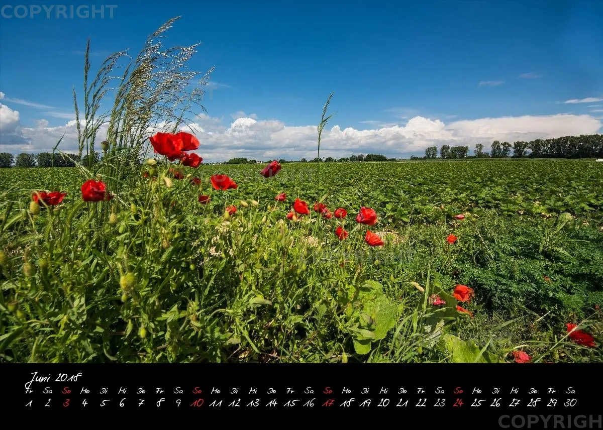 (2) Tischkalender A5 quer - Reilingen 2018