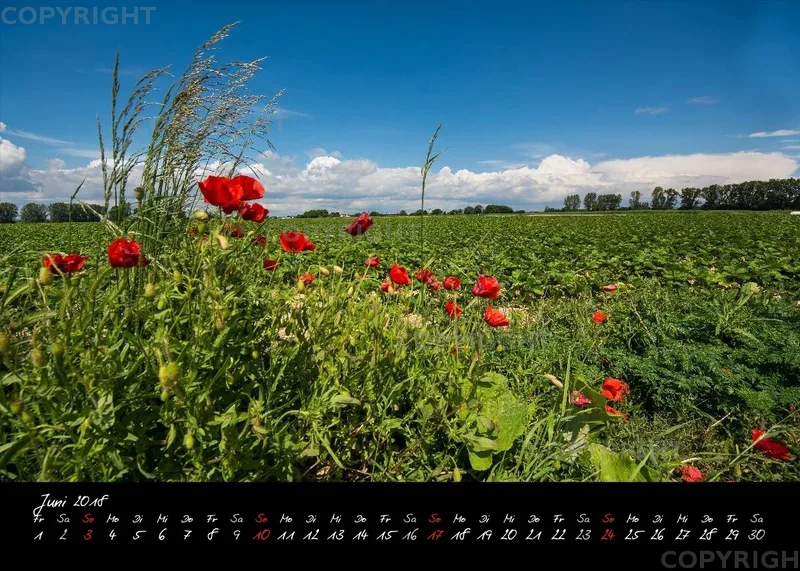 (2) Tischkalender A5 quer - Reilingen 2018