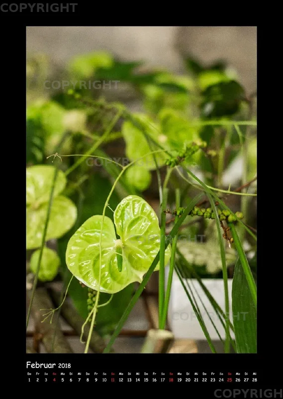 (34) Bildkalender A3 hoch - Gartenschau-Grüße 2018