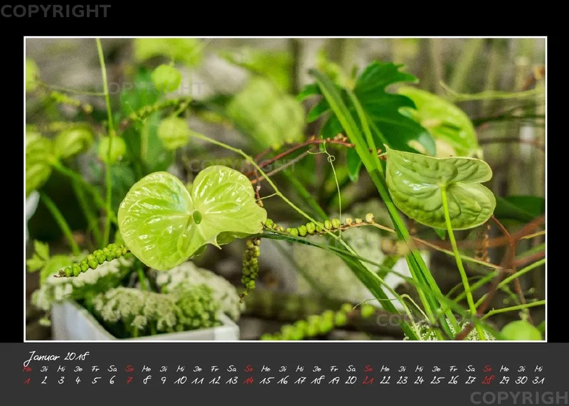(32) Tischkalender A5 quer - Glücksmomente 2018