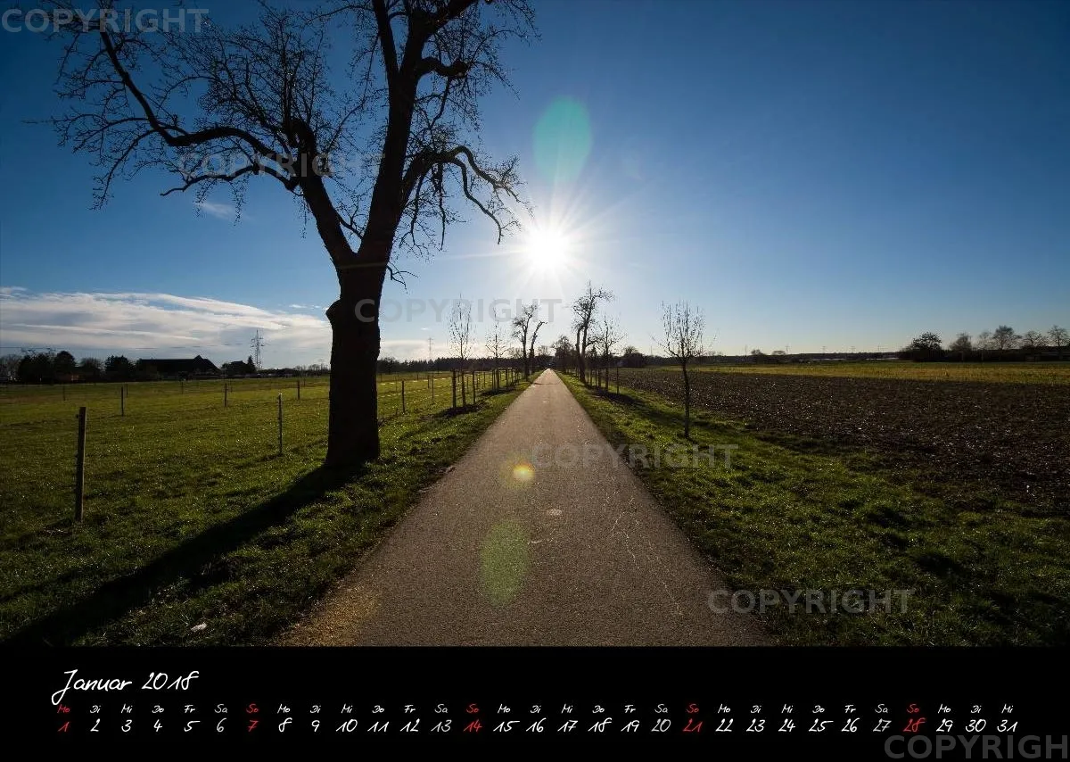 (1) Bildkalender A3 quer - Reilingen 2018
