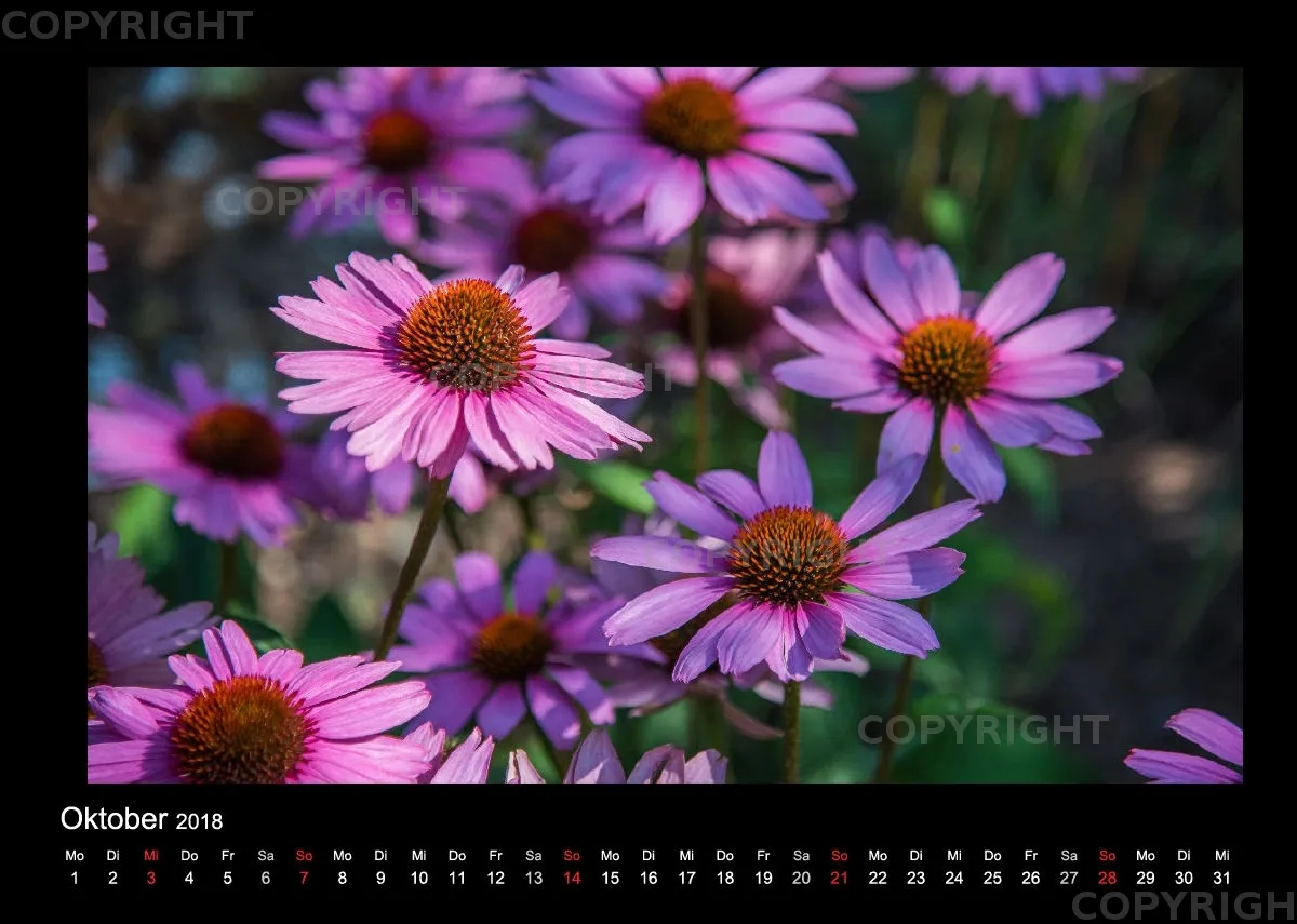 (46) Bildkalender A4 quer - Gartenschau 2018