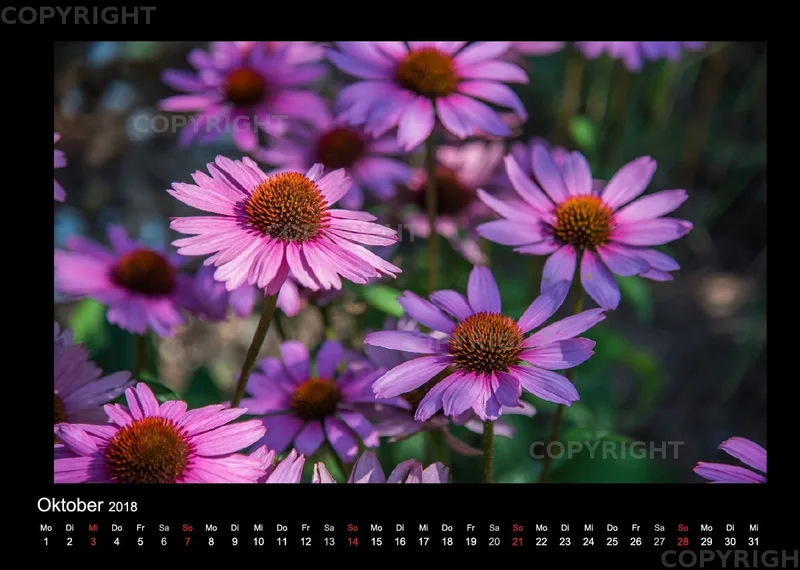 (46) Bildkalender A4 quer - Gartenschau 2018
