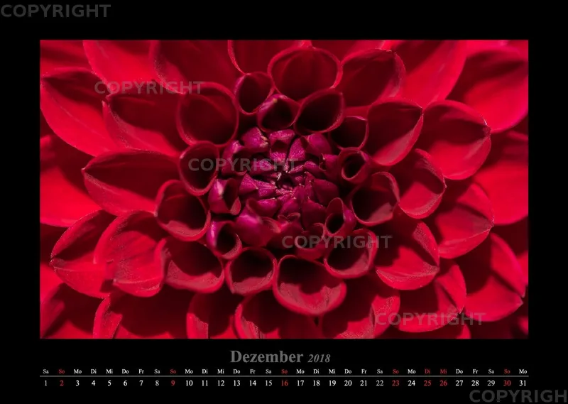 (46) Bildkalender A3 quer - Luisenpark Mannheim 2018