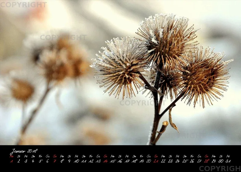 (3) Tischkalender A5 quer - Momente 2018