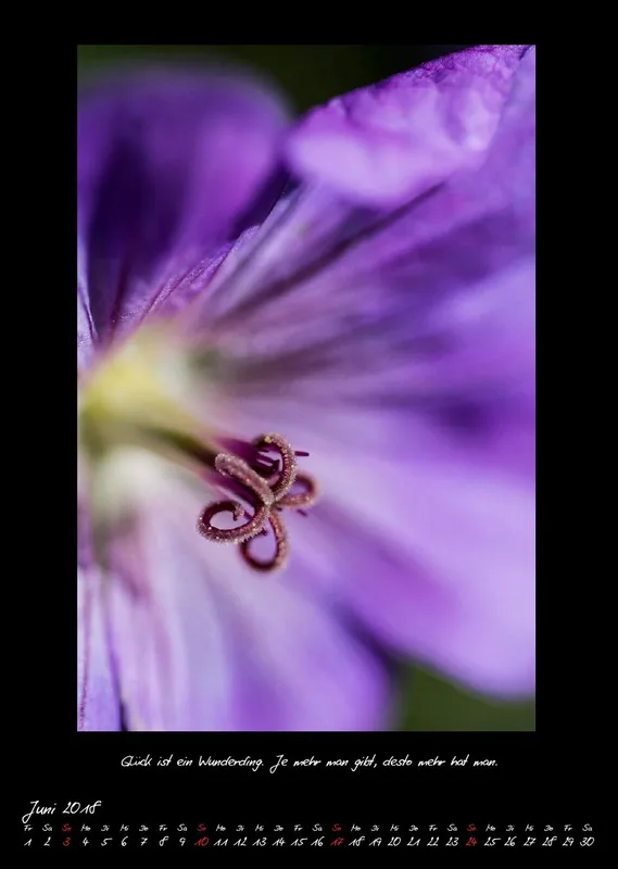 (27) Bildkalender A3 hoch - Natur im Detail 2018