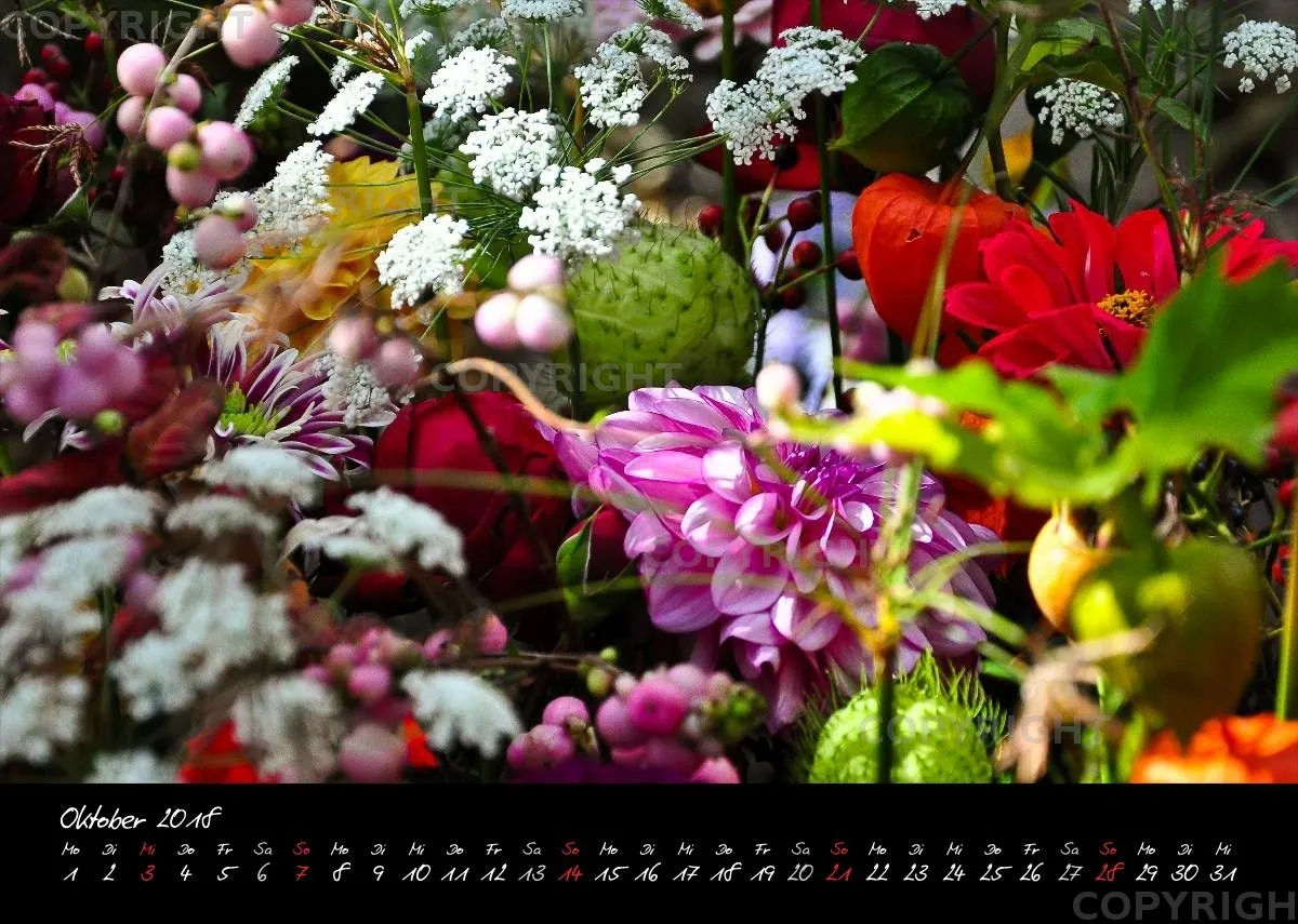 (7) Bildkalender A4 quer - Momente 2018
