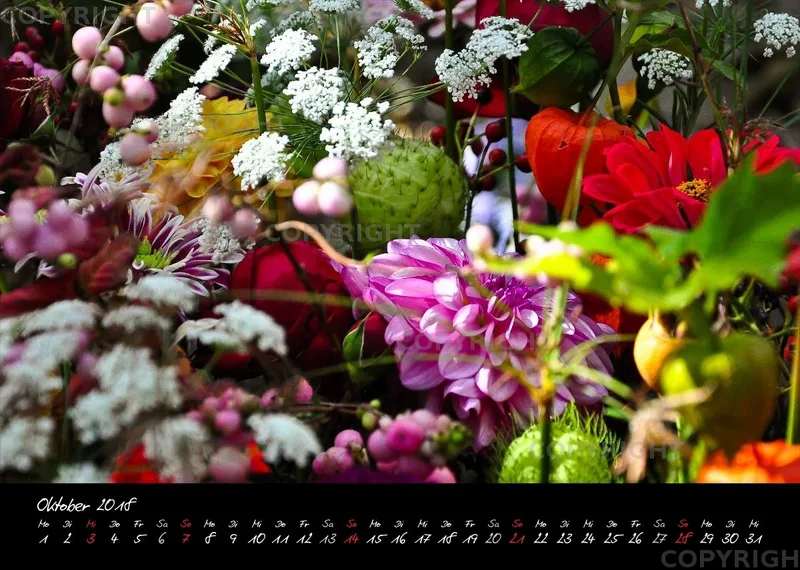 (7) Bildkalender A4 quer - Momente 2018