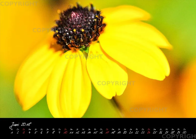 (4) Bildkalender A3 quer - Momente 2018
