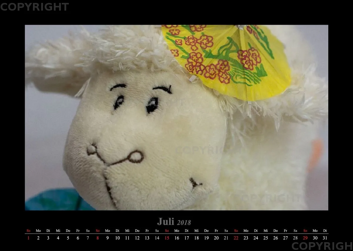 (14) Bildkalender A3 quer - Schafe Momente 2018