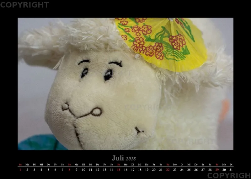 (14) Bildkalender A3 quer - Schafe Momente 2018