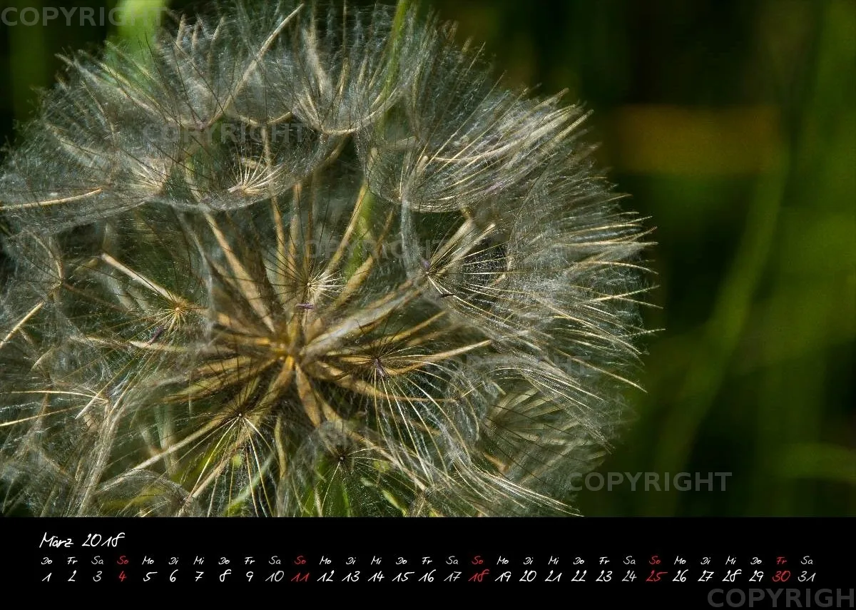 (7) Bildkalender A4 quer - Momente 2018