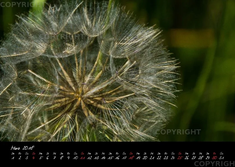(7) Bildkalender A4 quer - Momente 2018