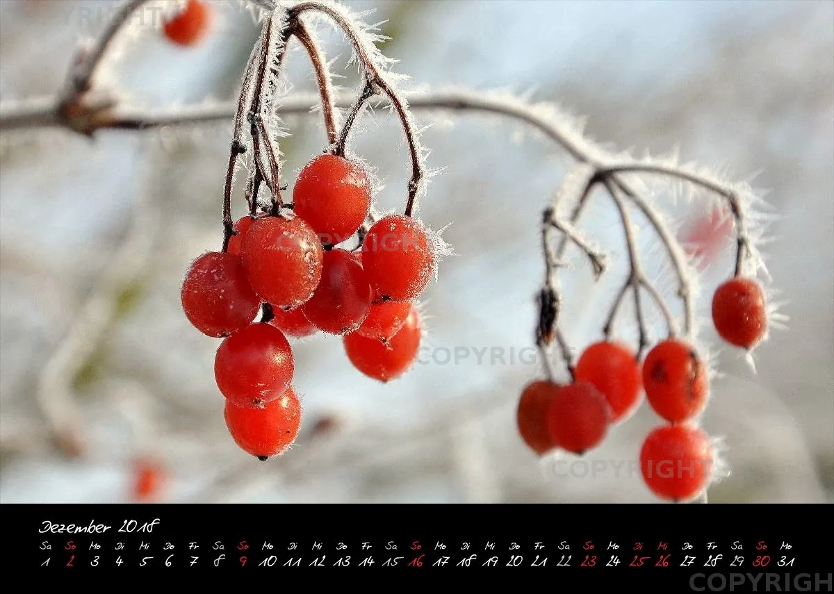 (7) Bildkalender A4 quer - Momente 2018