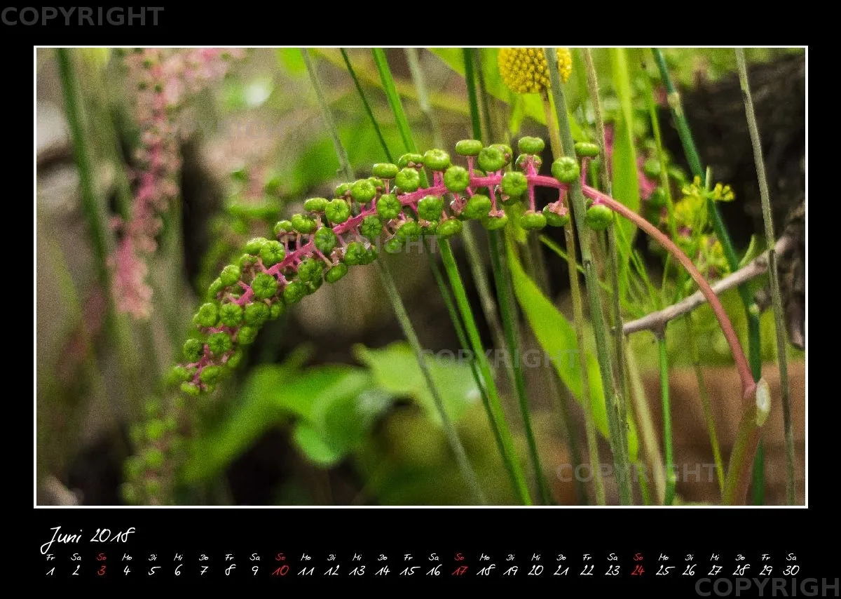 (33) Bildkalender A3 quer - Glücksmomente 2018