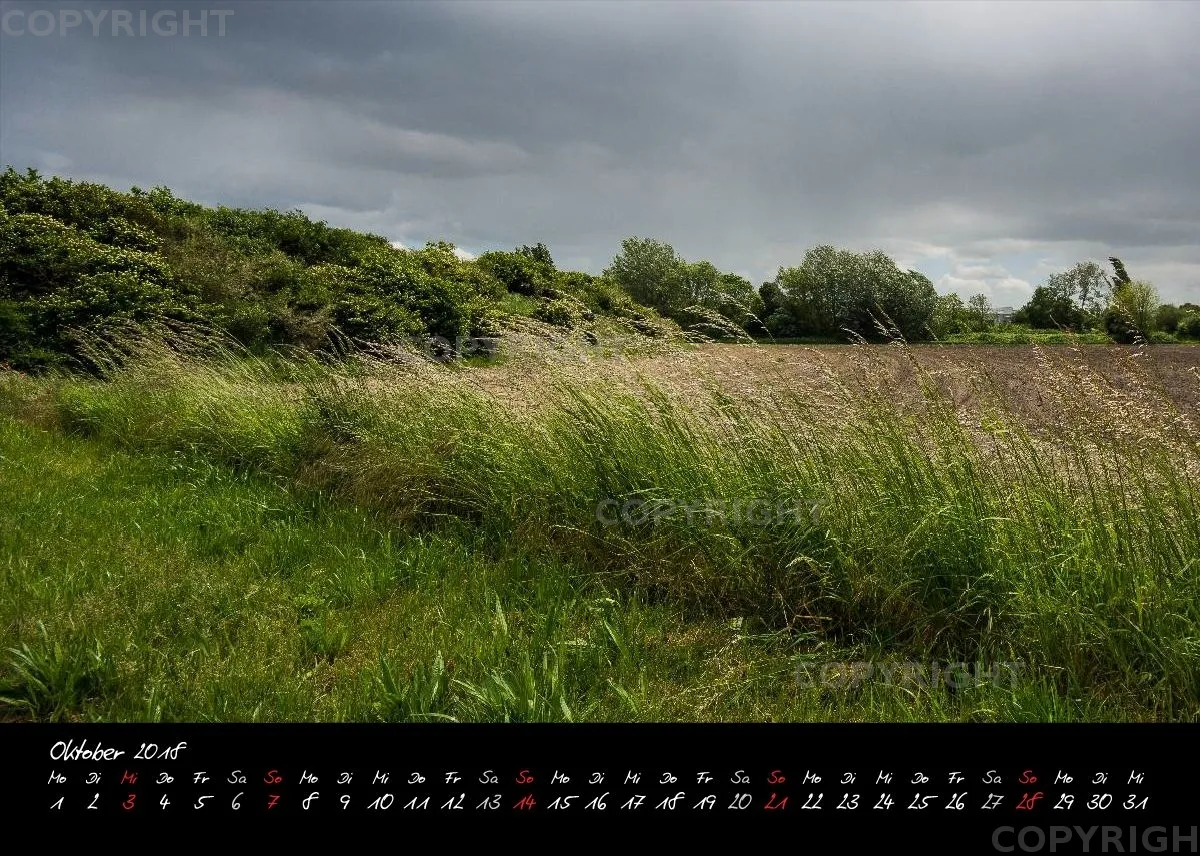 (2) Tischkalender A5 quer - Reilingen 2018