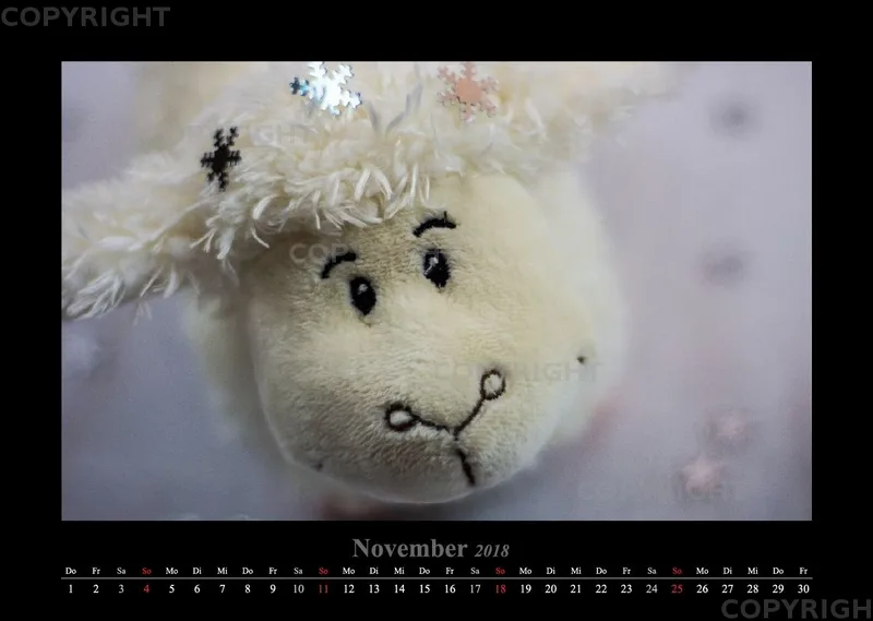 (14) Bildkalender A3 quer - Schafe Momente 2018