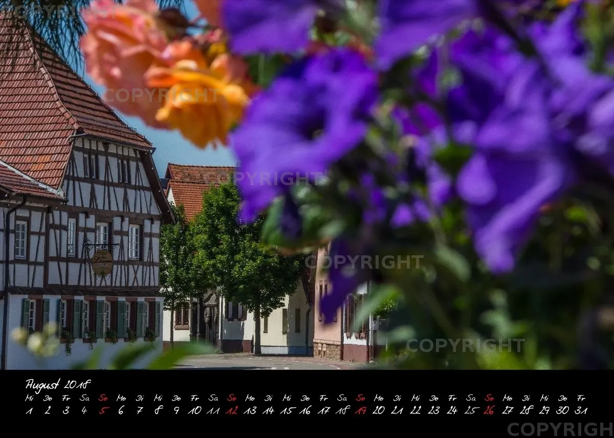 (2) Tischkalender A5 quer - Reilingen 2018
