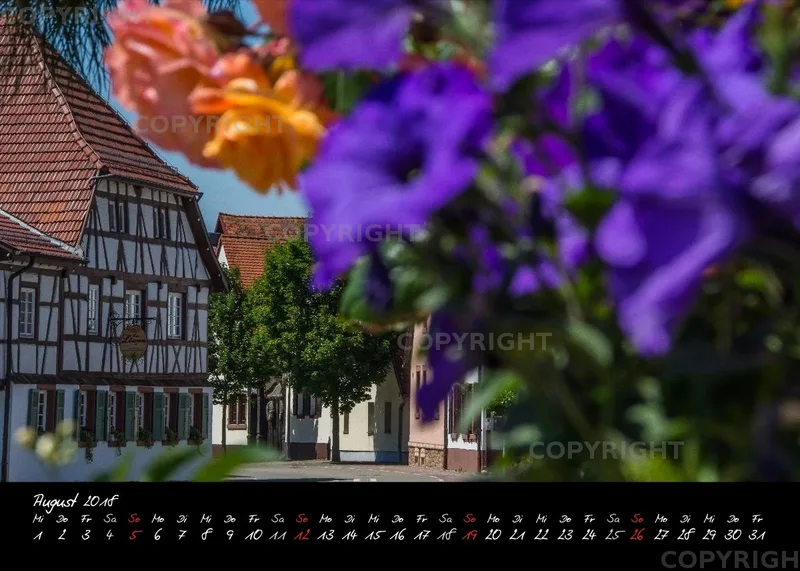 (2) Tischkalender A5 quer - Reilingen 2018