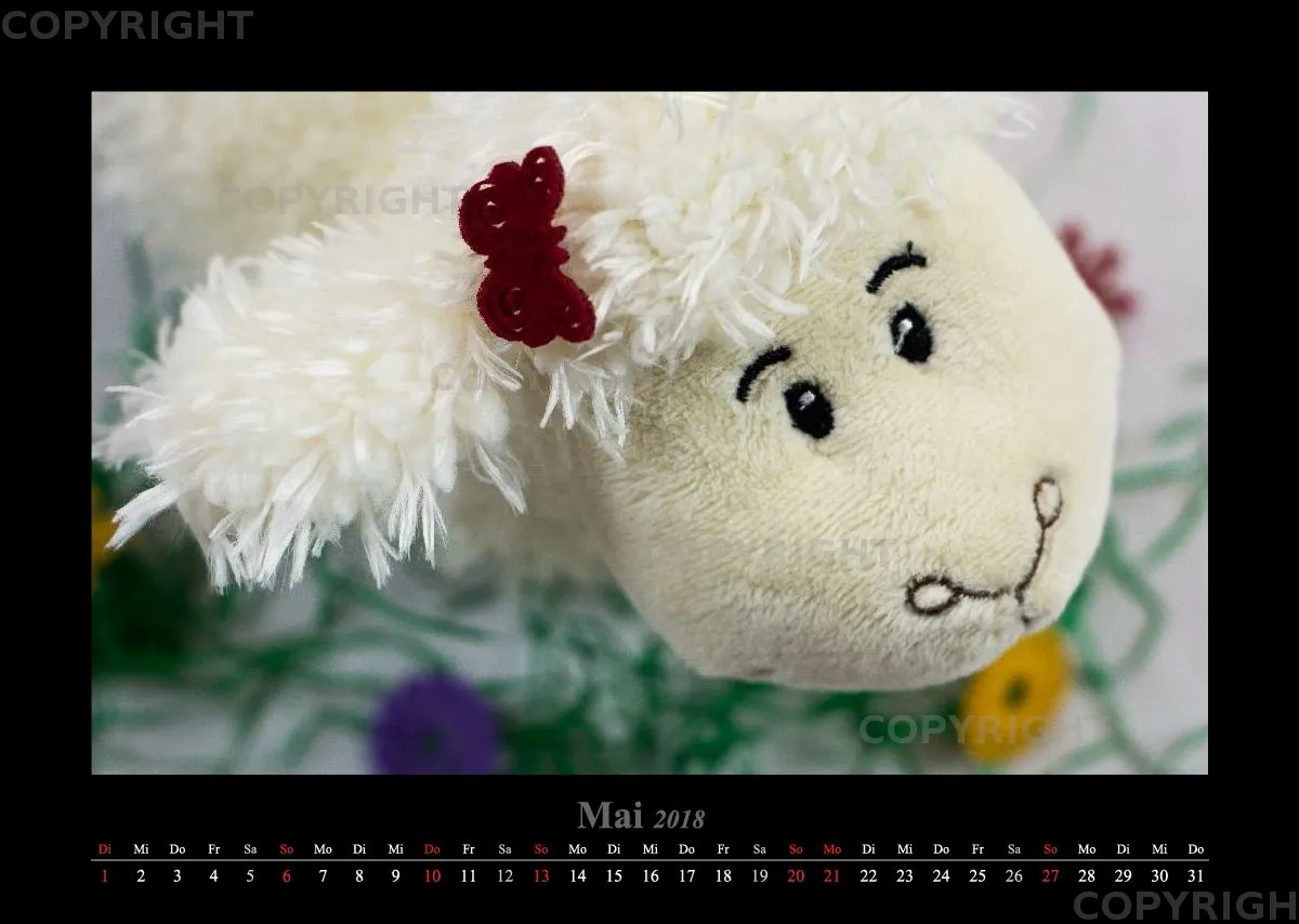 (14) Bildkalender A3 quer - Schafe Momente 2018