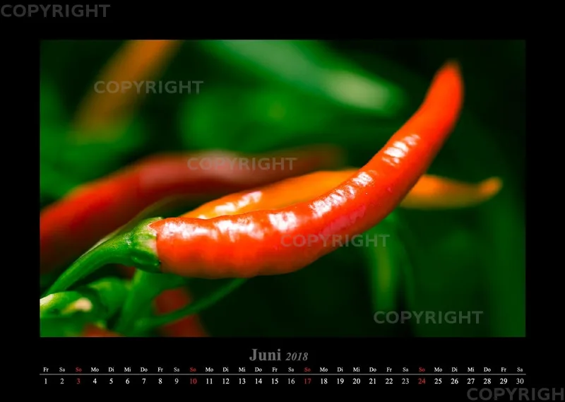 (45) Bildkalender A3 quer - Gartenschau 2018