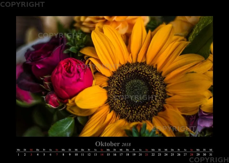 (22) Bildkalender A3 quer - Blumige Zeiten 2018