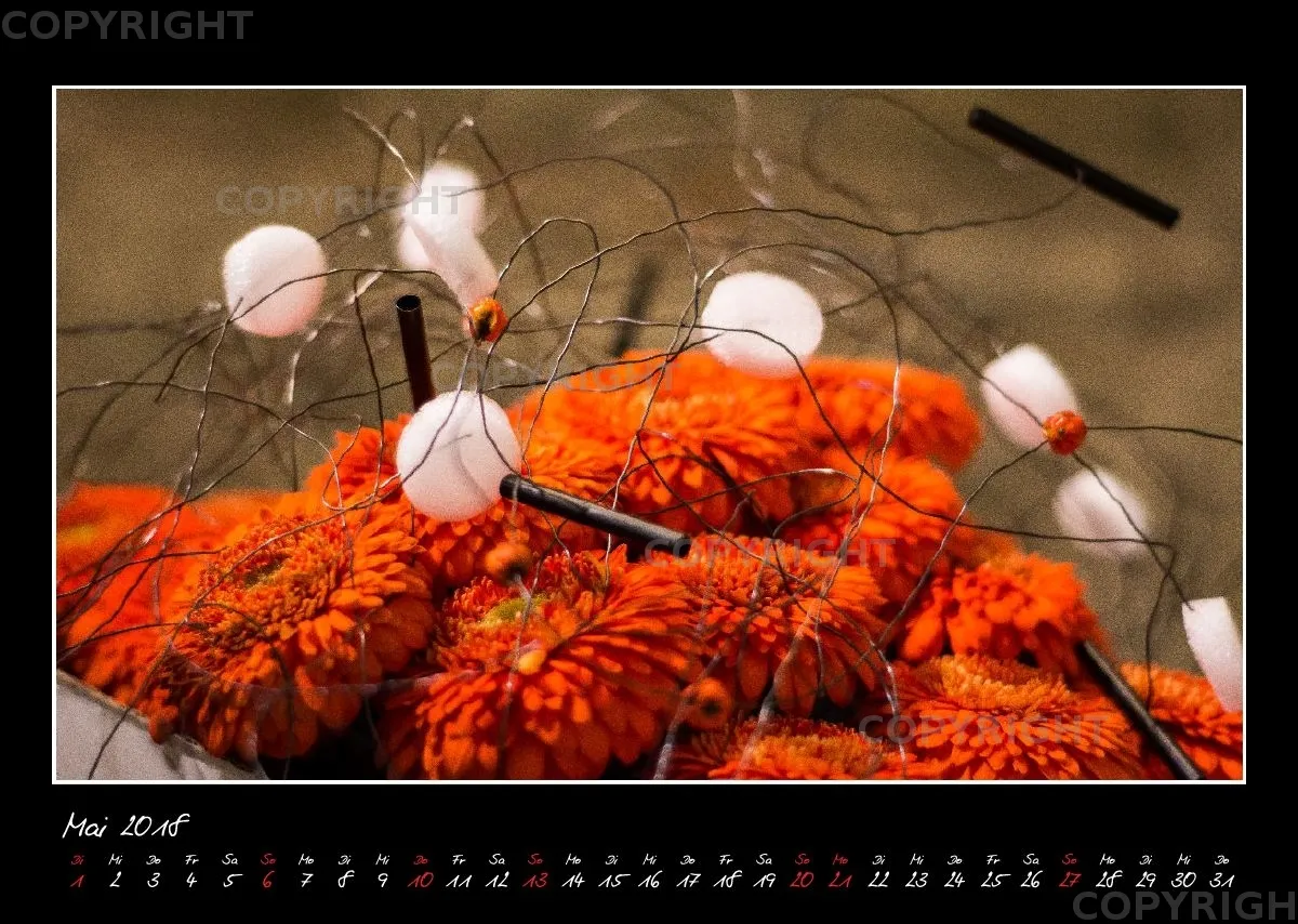 (33) Bildkalender A3 quer - Glücksmomente 2018