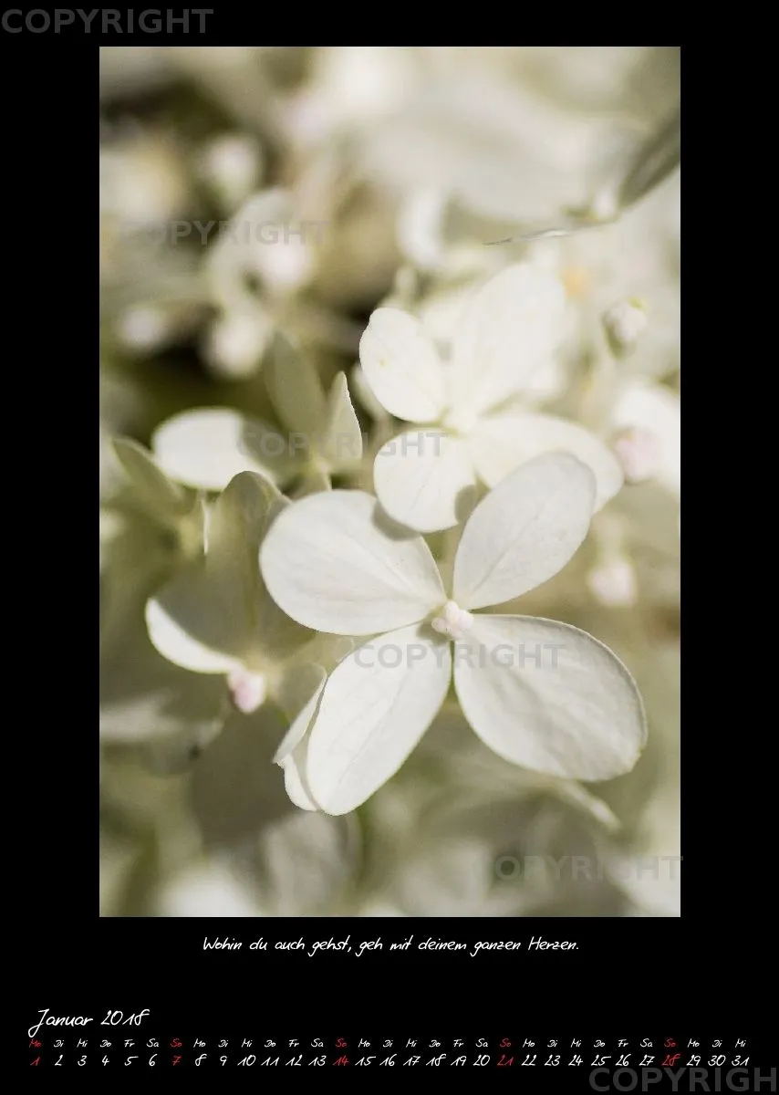 (35) Bildkalender A3 hoch - Naturpoesie 2018