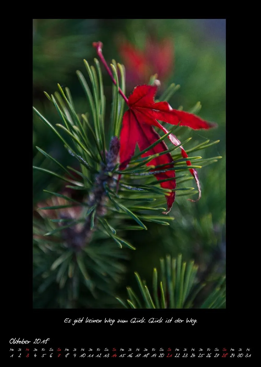 (27) Bildkalender A3 hoch - Natur im Detail 2018