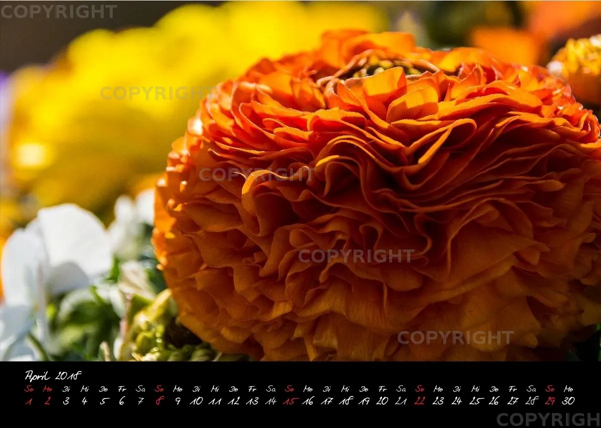 (3) Tischkalender A5 quer - Momente 2018