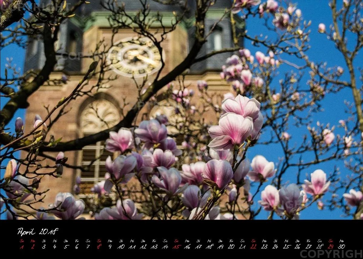 (1) Bildkalender A3 quer - Reilingen 2018