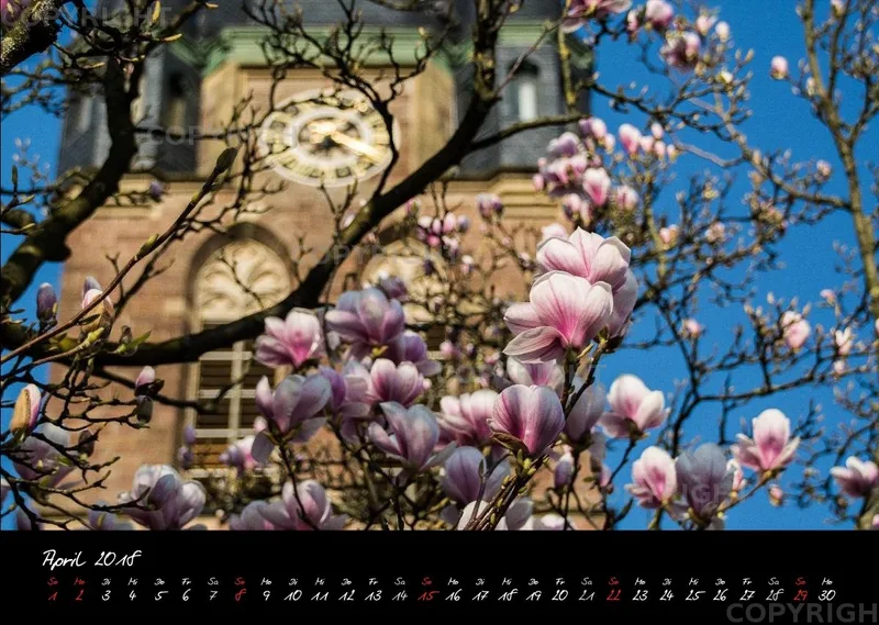 (1) Bildkalender A3 quer - Reilingen 2018