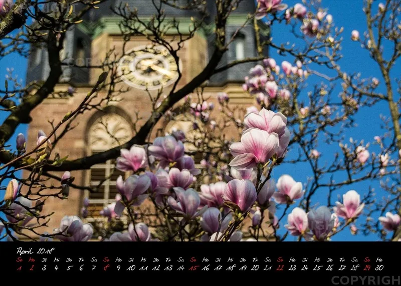 (2) Tischkalender A5 quer - Reilingen 2018