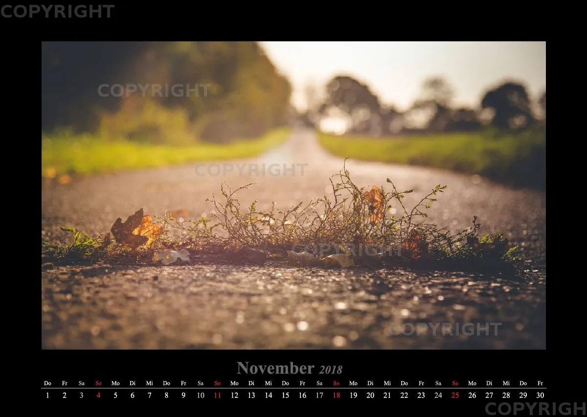 (41) Bildkalender A3 quer - Blütenzauber 2018