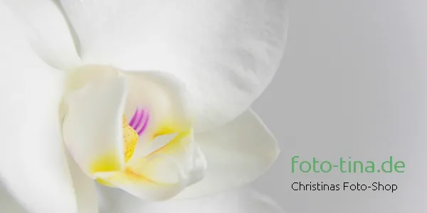 Christinas Foto-Shop