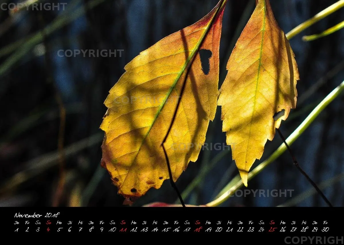 (3) Tischkalender A5 quer - Momente 2018