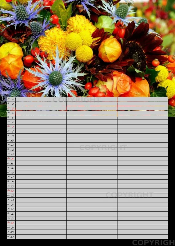 (5) Familienplaner 2018- A3 hoch - 3-spaltig