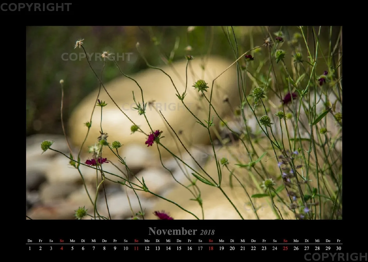 (45) Bildkalender A3 quer - Gartenschau 2018