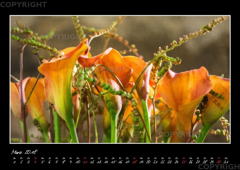 (33) Bildkalender A3 quer - Glücksmomente 2018
