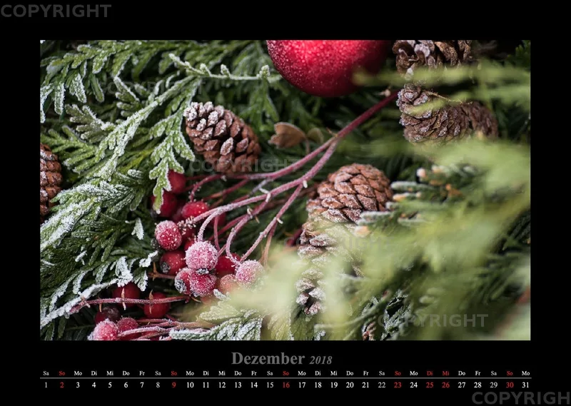 (41) Bildkalender A3 quer - Blütenzauber 2018
