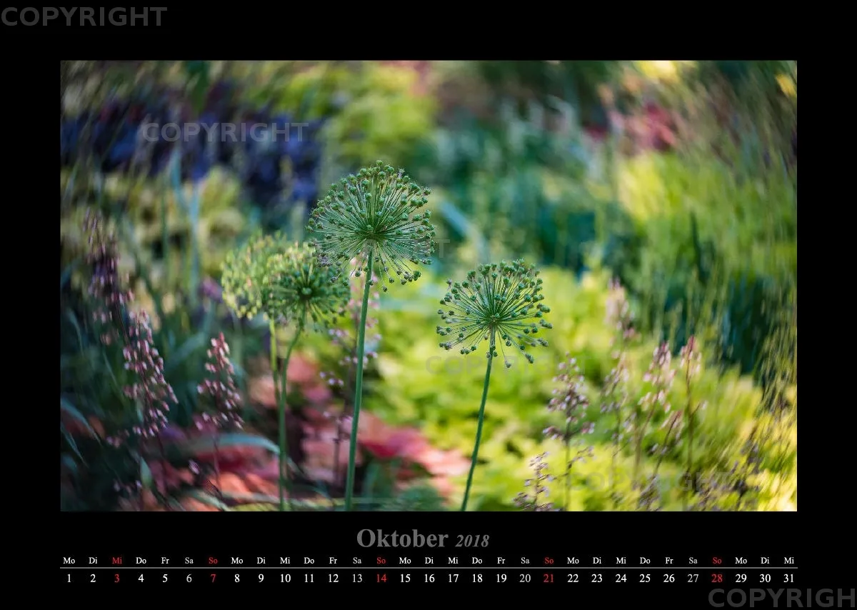 (46) Bildkalender A3 quer - Luisenpark Mannheim 2018